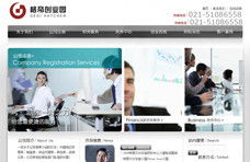 上海追浪網絡 網站建設與網頁設計成功案例全解析